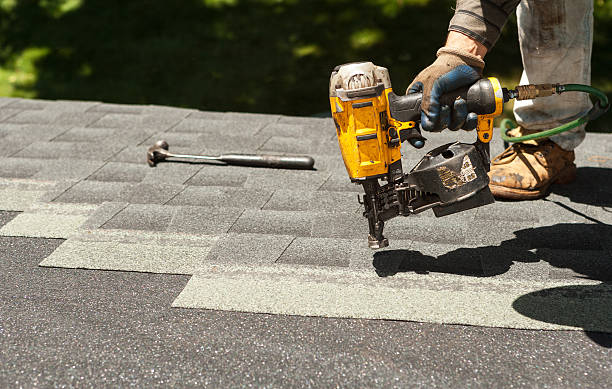 Best Roof Gutter Cleaning  in Erma, NJ
