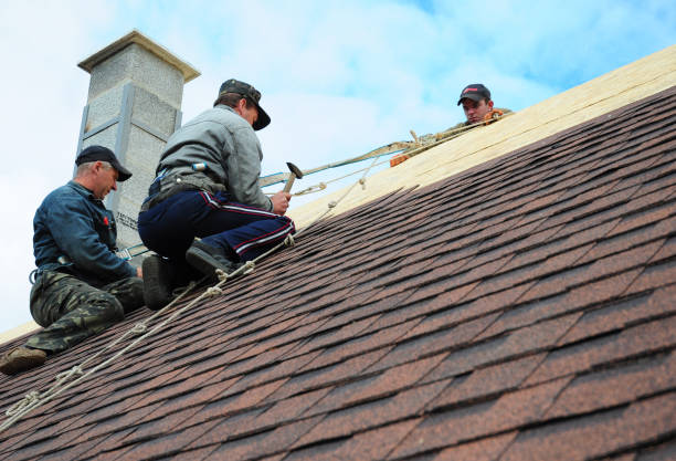 Best Gutter Installation and Roofing  in Erma, NJ